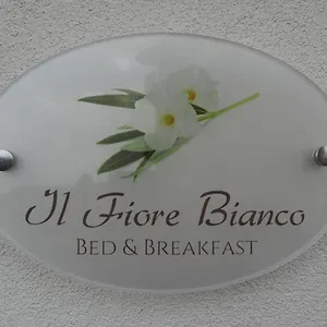 Couette-café Il Fiore Bianco, Capo dʼOrlando